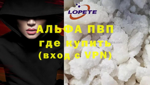 дживик Белокуриха