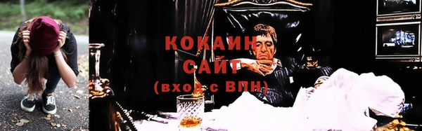 дживик Белокуриха
