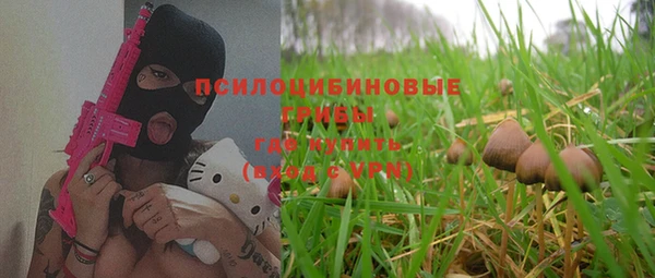спайс Снежногорск