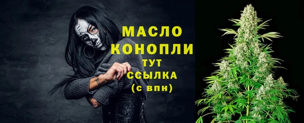 дживик Белокуриха