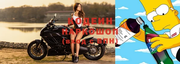 дживик Белокуриха