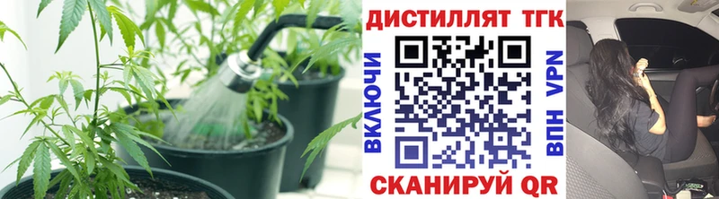 Дистиллят ТГК гашишное масло  Севск 