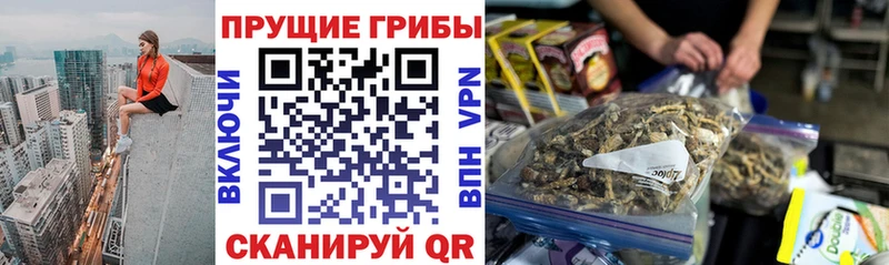 Псилоцибиновые грибы мицелий  площадка какой сайт  Севск  МЕГА как войти 